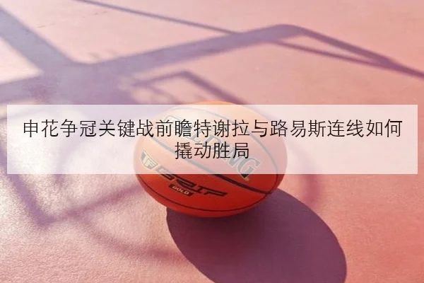 申花争冠关键战前瞻特谢拉与路易斯连线如何撬动胜局